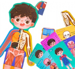 Human Anatomy Puzzle Set Boys